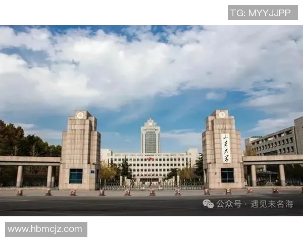 南京篮球队的现状揭秘与未来展望球迷们不可错过的精彩分析