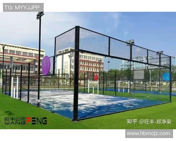 南京网球队转型之路的挑战与机遇全景揭秘